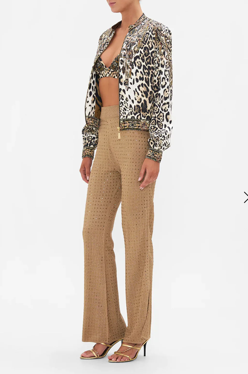 Bomber Jacket Cool For Cats - Image 3