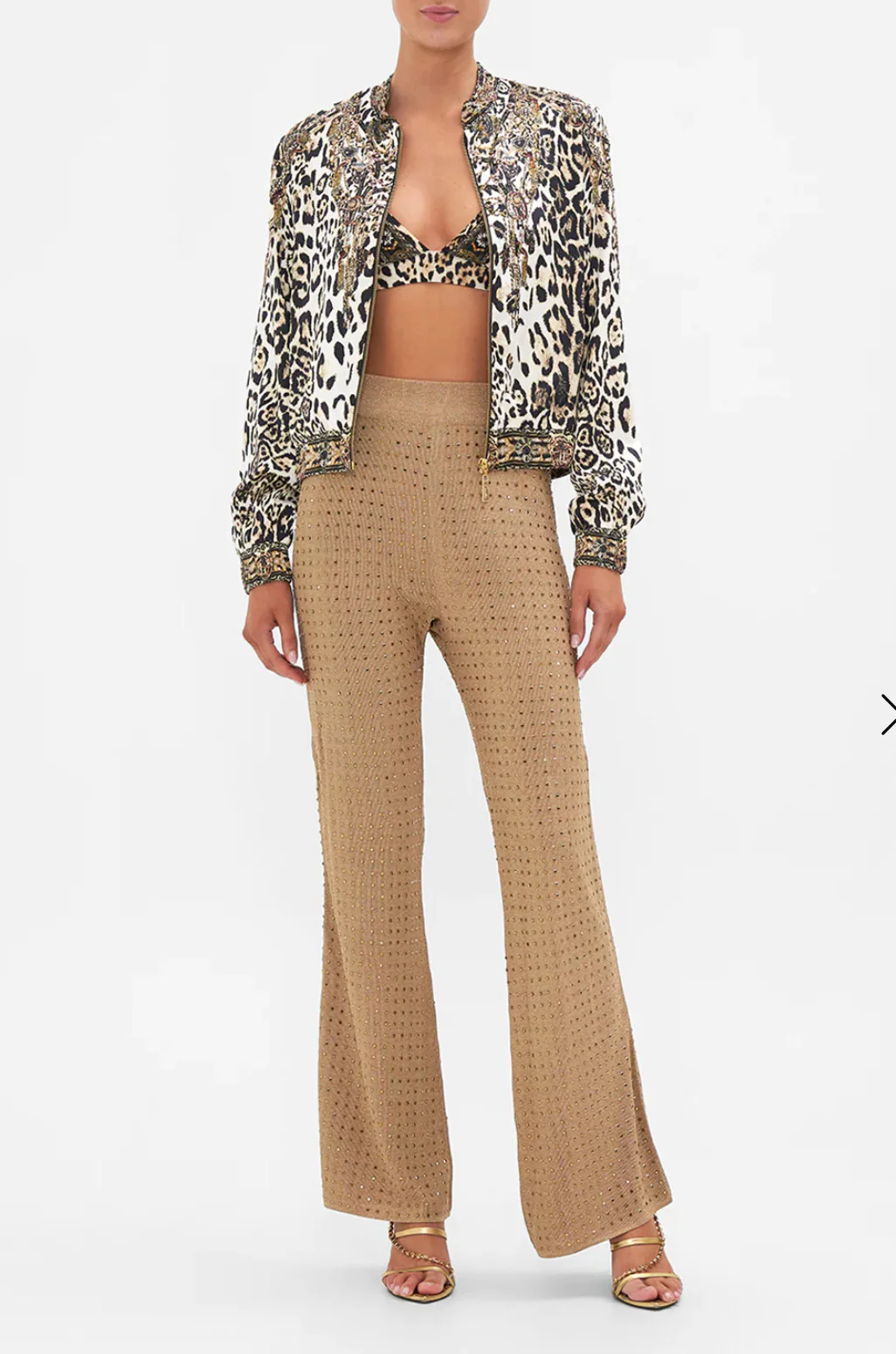 Bomber Jacket Cool For Cats - Image 4