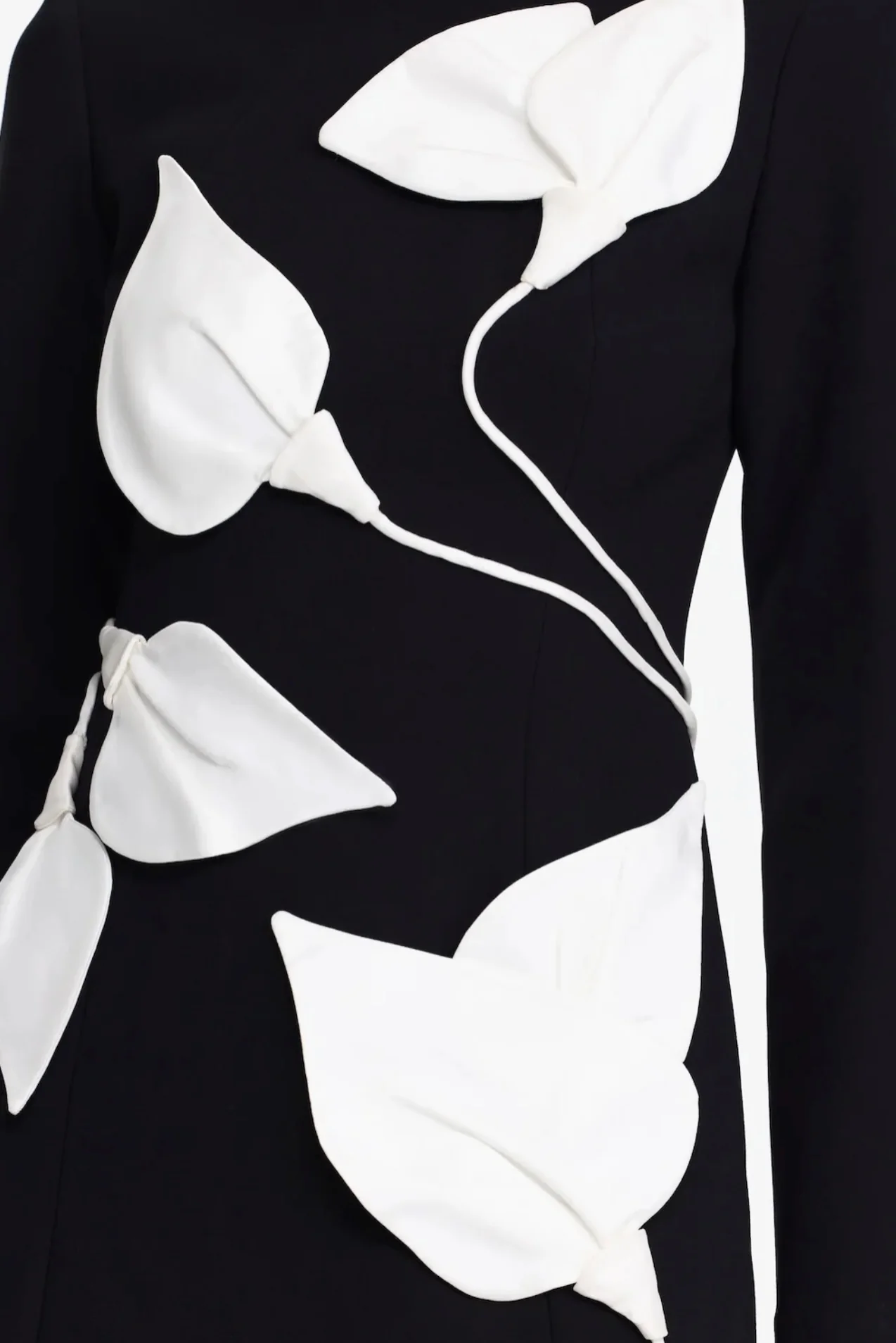 Kadence Mini Dress BLACK + IVORY - Image 4