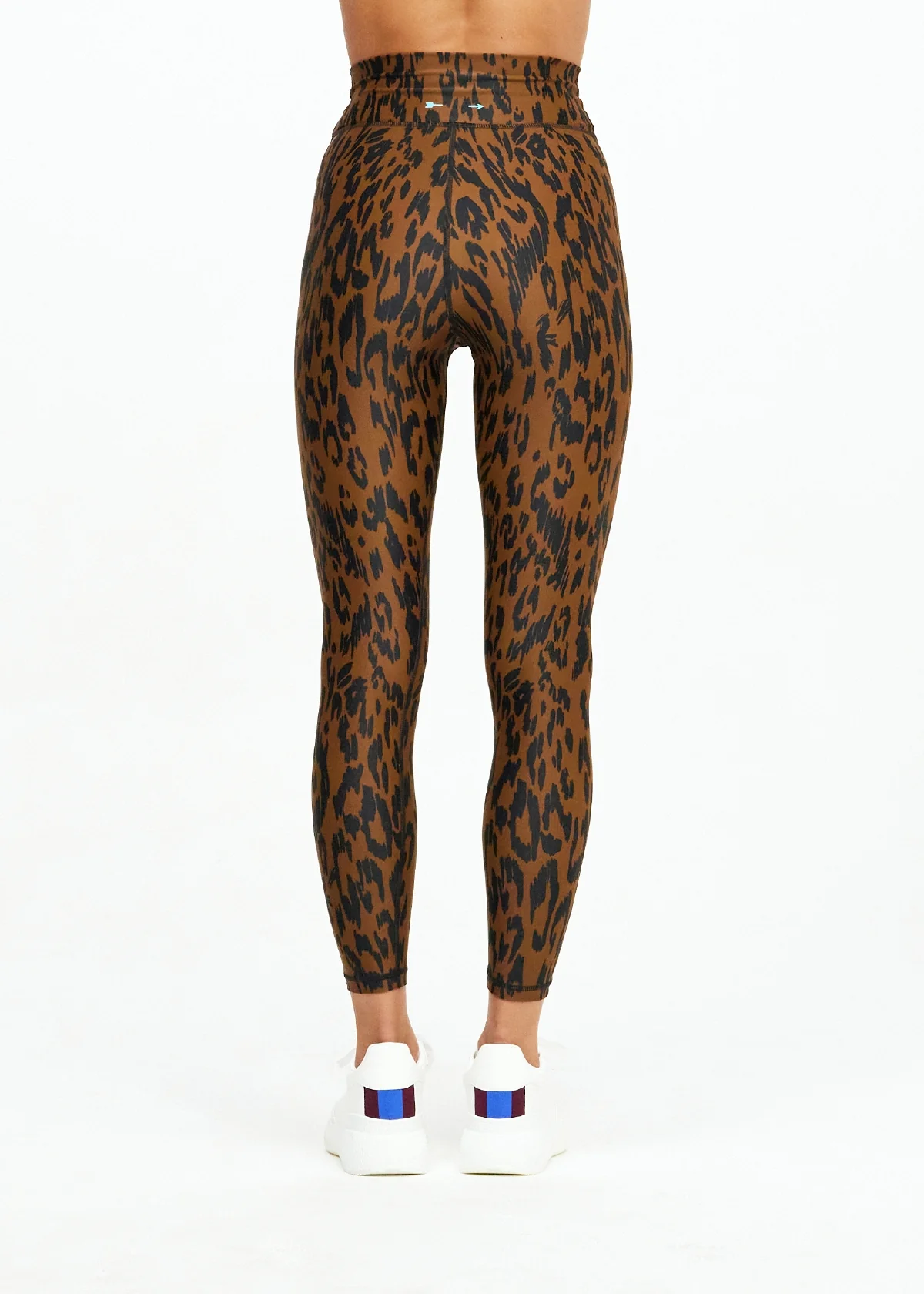 Tropical Dance Midi Pant Animal - Image 6